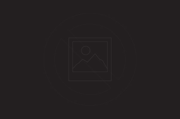 Image module