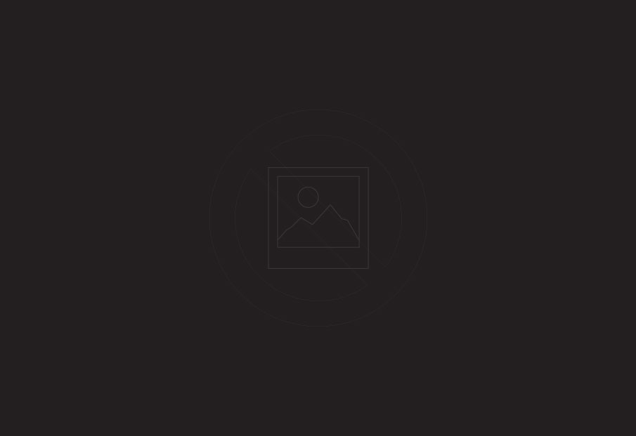 Image module