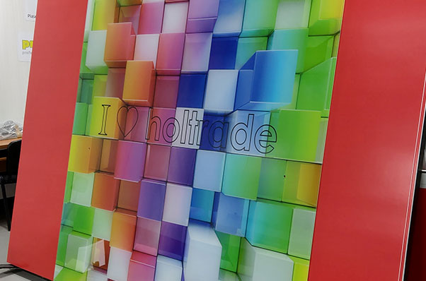 Image module