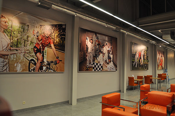 Image module