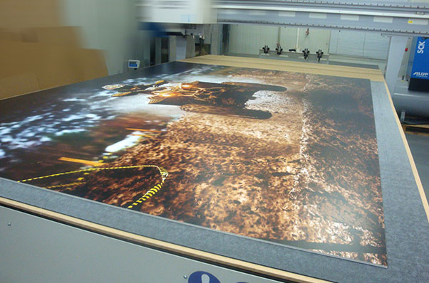 Image module